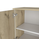 Alaska Medicine Cabinet, With Three Storage Shelves, Single Door Cabinet B128P148852