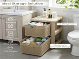 2-Drawer PP Storage Organizer Wicker Style Narrow Cabinet for Home Office 09536706