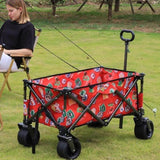 Utility Park Garden Cart Tool Customized Color Folding Camping Trolley Outdoor Picnic Beach Wagon, W321P297097