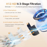 H13 True HEPA Purifier Cleaner with 360&deg Inlet, 40799735