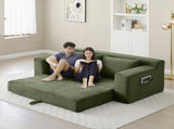 Memory Foam Cloud Loveseat Sofa, 2 in 1 Convertible Folding Couch Bed, No Assembly Compressed W2677P395126