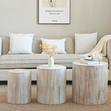 Set of 3 Whitewash Wood Coffee Table with clear and visible tree rings W2729P209831