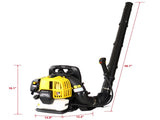 Gasoline Blower EPA Compliant W46537643