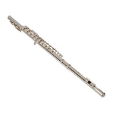 ZNTS Nickel Plated C Closed Hole Concert Band Flute Silver 38901446