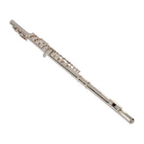 Nickel Plated C Closed Hole Concert Band Flute Silver 38901446