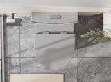 Matte Grey Elongated One Piece Toilet Dual Flush 1.1/1.6 GPF Water Saving Comfort Seat Height, Map W2826P192008