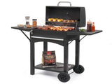 110 x 45 x 102 cm Black Cart-Style Charcoal Grill with 2 Side Tables 700&degC High-Temperature 45835967