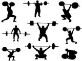 Barbell Bar Plates 4Ft Solid Iron Fitness Weightlifting 27331842