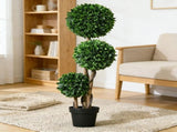 Artificial Plant/Green plants 68710276