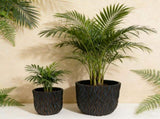Large Round Planters Set of 2 - Lightweight Magnesium Oxide Plant W5212P434253
