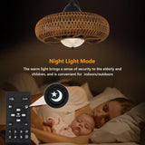 Waterproof Outdoor Ceiling Fan with Lights Remote Control W2738P242334