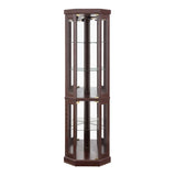 Lighted Corner Curio Cabinet - Display Case for Living Room, Antique Collectibles, Wine & Bar Glass W1758P294620