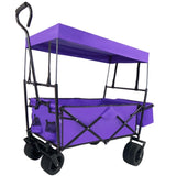 ZNTS Outdoor Garden Park Utility kids wagon portable beach trolley cart camping foldable folding wagon W321115010