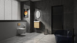 20" Wall-Mounted Bathroom Vanity with Ceramic Sink, Storage Cabinet with Doors,Bathroom Cabinet Set W1972P196394