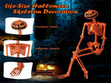 5.5ft Life-Size Halloween Skeleton with Pumpkin Head - Orange Color, Fully Poseable Joints 28854168