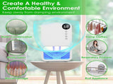 Small Household Dehumidifier for Bathroom Closet RV, RealTime Humidity Readout, 1.1L Tank Auto 84675922