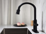 Single Handle Pull Down Kitchen Faucet with Dual Function Sprayhead 14563295