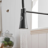 Commercial Black Kitchen with Pull Down Sprayer, Single Handle Single Lever Kitchen Sink W1932P172271
