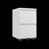 Metal 2 Drawer Mobile File Cabinet with Lock, Under Desk Office Steel Filing Cabinet, 25.6''H W1247125572