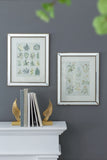 S/2 15.7x19.7" Liana Mirror Framed Wall Art on Mellow Golden Tint Background W2078P313327