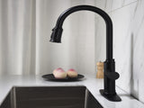 Single Handle Pull Down Kitchen Faucet with Dual Function Sprayhead 14563295