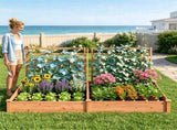 Oak Fir Wood Raised Garden Bed with 3 Climbing Trellises, 2 Large Open-Base Planting Boxes Modular 62292275