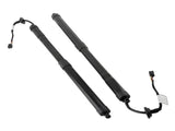 Rear Electric Tailgate Trunk Lift Support fit for Volvo XC40 2017-2023 32296296 56589840