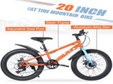 20 Inch Kids Bicycles , Fat Tire Mountain Bike for Boys and Girls Age 5 Years ,7-Speed Dual-Disc W1019P203873