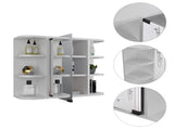 Roseburg 6-Shelf Medicine Cabinet with Mirorr White B06280464