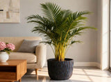 Large Round Planters Set of 2 - Lightweight Magnesium Oxide Plant W5212P434253
