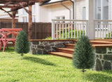 Artificial Plant/Green plants 14655032
