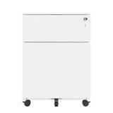 2 Drawer Mobile File Cabinet with Lock Steel File Cabinet for Legal/Letter/A4/F4 Size, Fully W252125346