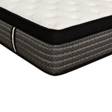 ZNTS Premium 16 in. Pocket Coil Hybrid Mattress, Queen, Plush Gel Memory Foam Mattress, White/Gray B011P203030