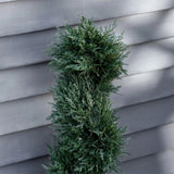 3 feet pre-potted spiral fake plant simulation tree 69909682