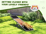 Dog Agility Ramp Pet Seesaw 76685612