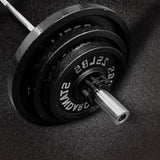 ZNTS 1 PCS 45 Lbs 2 inch Barbell Olympic Cast Iron Weight Plates Workout Fitness Gym 61749283