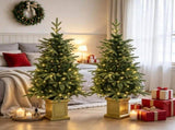 4ft Christmas Tree Set of 2 Aspen Fir Dual Color LED Remote Battery Operated 11 Modes 26539305