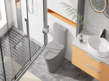 Matte Grey Elongated One Piece Toilet Dual Flush 1.1/1.6 GPF Water Saving Comfort Seat Height, Map W2826P192008