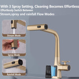 Brushed Gold Waterfall Kitchen Faucet with Temperature Display, Single Handle Kitchen Faucet with W1217P146518