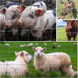 Farm Fence 5ft x 164ft 14Gauge Heavy Zinc Coating Cattle Fence,Galvanized Field Wire Fencing Deer W2286P270223