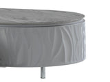 Yukino Gray High Gloss & Chrome Finish Coffee Table B2726P265754