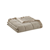 Lightweight Down Alternative Blanket with Satin Trim B03598504