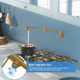 Pot Filler Faucet - Wall Mount Kitchen Sink Faucet Folding Stretchable with Single Hole Two Handles, W1243P262592