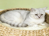 Flower Cat Tree 51463218
