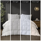 Full/Queen Overfilled Down Alternative Comforter B035129277