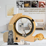 5-in-1 Cat Sports Running Wheel, Cats Wheel Wood Climbing Frame, Cat Litter Fitness Wheel, Oversized 72033345