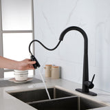 ZNTS Kitchen Faucets with Pull Down Sprayer, Kitchen Sink Faucet with Pull Out Sprayer, Fingerprint 88256761