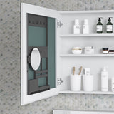 24'' W x 26'' H Surface Frameless Mirror Medicine Beveled Mirror Edges Bathroom Medicine W2287P250732