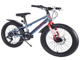 20 Inch Kids Bicycles , Fat Tire Mountain Bike for Boys and Girls Age 5 Years ,7-Speed Dual-Disc W1019P203875