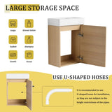 16'' Floating Wall-Mounted Vanity with Ceramic Sink & Soft-Close Cabinet Door, For Small W999P236336